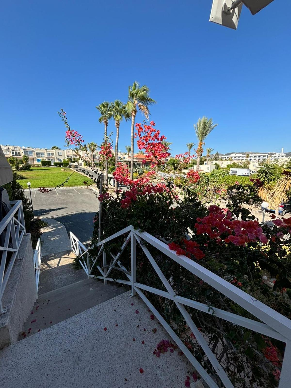 Horizon Bliss At Coral Bay Appartement Peyia Buitenkant foto
